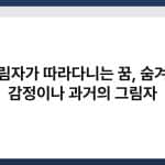 그림자가 따라다니는 꿈, 숨겨진 감정이나 과거의 그림자 4