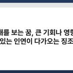 고래를 보는 꿈, 큰 기회나 영향력 있는 인연이 다가오는 징조 5