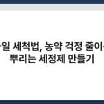 과일 세척법, 농약 걱정 줄이는 뿌리는 세정제 만들기 4