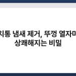 김치통 냄새 제거, 뚜껑 열자마자 상쾌해지는 비밀 5