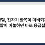 뇌출혈, 갑자기 한쪽이 마비되거나 말이 어눌하면 바로 응급실 4