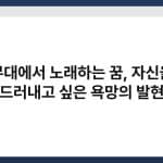 무대에서 노래하는 꿈, 자신을 드러내고 싶은 욕망의 발현 9