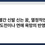 빨간 신발 신는 꿈, 열정적인 도전이나 연애 욕망의 반영 5