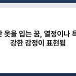 빨간 옷을 입는 꿈, 열정이나 욕망, 강한 감정이 표현됨 4