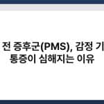 생리 전 증후군(PMS), 감정 기복과 통증이 심해지는 이유 6