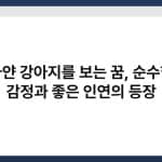하얀 강아지를 보는 꿈, 순수한 감정과 좋은 인연의 등장 2