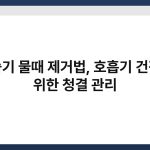 가습기 물때 제거법, 호흡기 건강을 위한 청결 관리 6