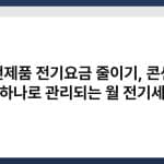 가전제품 전기요금 줄이기, 콘센트 하나로 관리되는 월 전기세 6