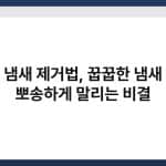 빨래 냄새 제거법, 꿉꿉한 냄새 없이 뽀송하게 말리는 비결 5