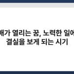 열매가 열리는 꿈, 노력한 일에서 결실을 보게 되는 시기 6