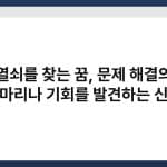 열쇠를 찾는 꿈, 문제 해결의 실마리나 기회를 발견하는 신호 3
