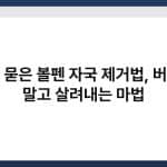옷에 묻은 볼펜 자국 제거법, 버리지 말고 살려내는 마법 2