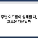 입술 주변 여드름이 심해질 때, 어떤 호르몬 때문일까 1