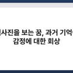 흑백사진을 보는 꿈, 과거 기억이나 감정에 대한 회상 5
