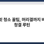 머리빗 청소 꿀팁, 머리결까지 바뀌는 청결 루틴 4
