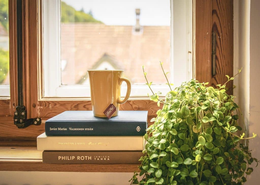 small electric dehumidifier placed near window sill in a cozy apartment room in winter