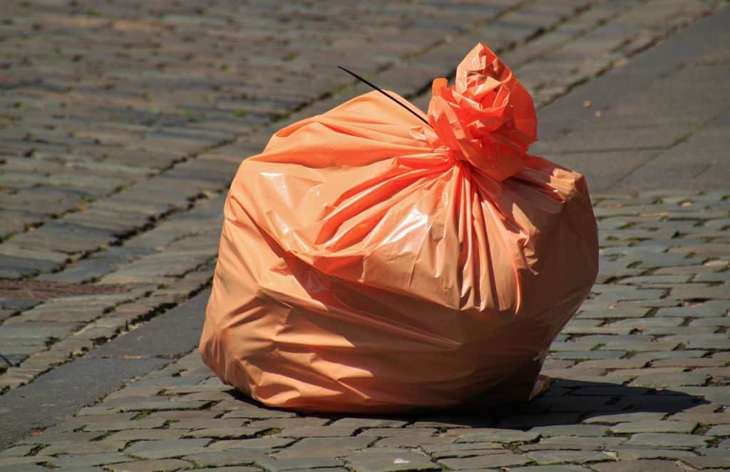 frozen food waste in small bag before disposal