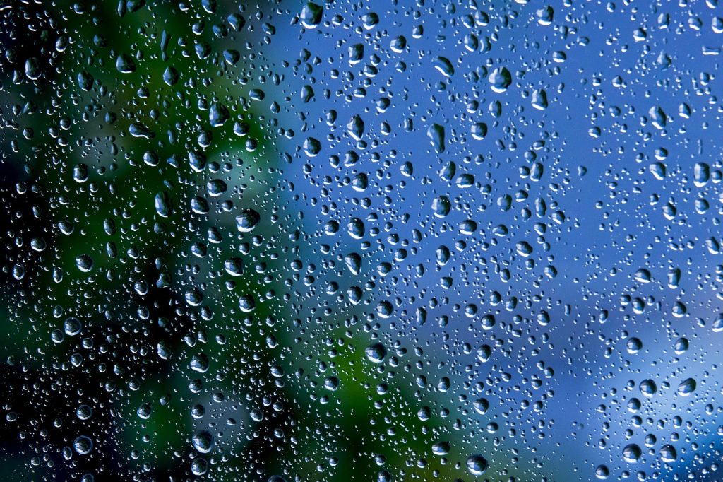 laundry smell rainy season mold bacteria close up