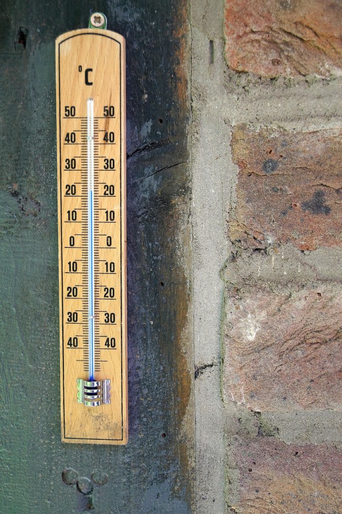 freezer thermometer showing minus 18 degrees celsius
