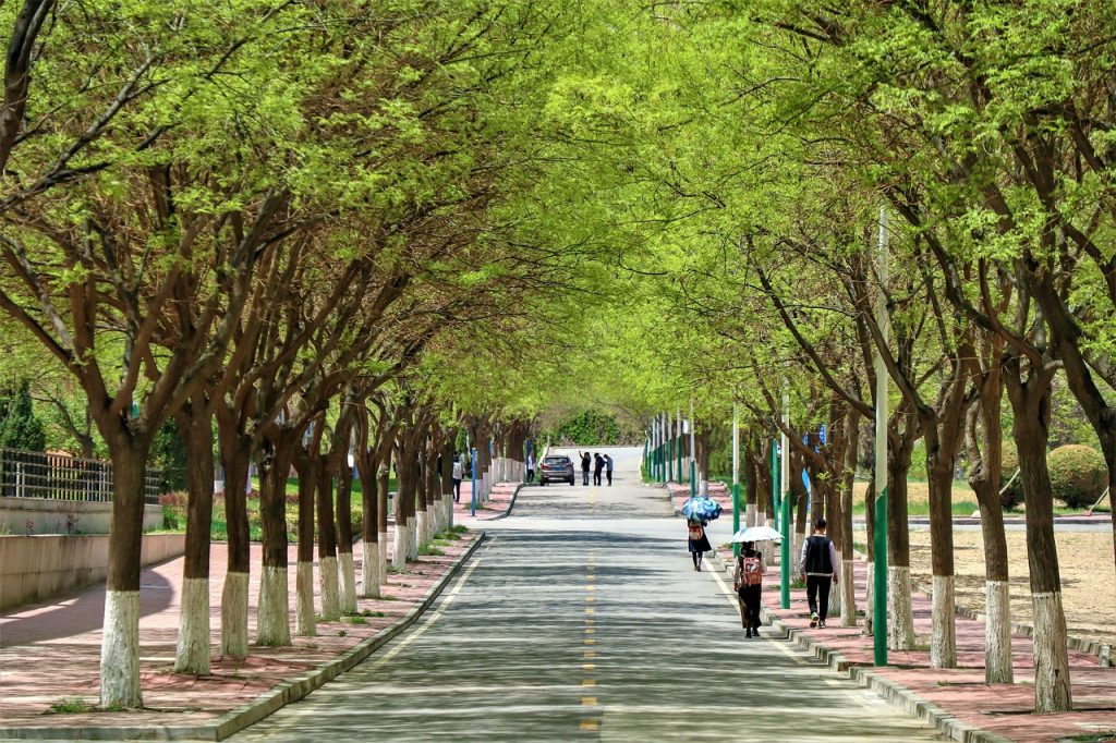 youth entrepreneurship school campus Korea facility