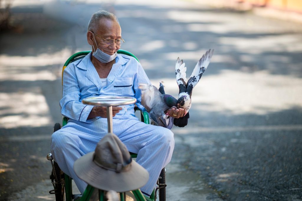elderly disabled man in wheelchair talking to social worker outdoors in park